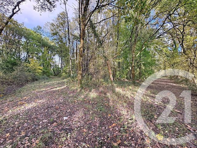 Maison à vendre - 10 pièces - 251,50 m2 - Nouan Le Fuzelier - 41 - CENTRE