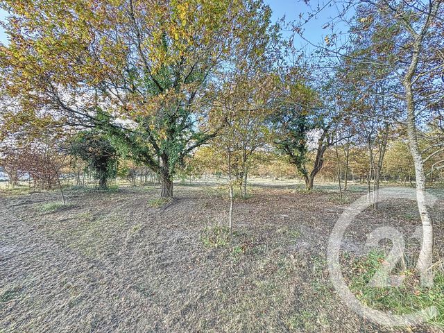 Terrain &agrave; vendre - 7048 m2 - Montrieux En Sologne - 41 - CENTRE