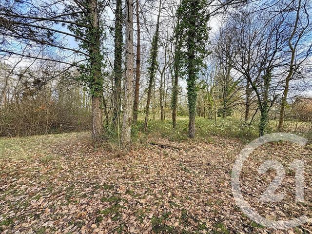 Maison &agrave; vendre - 4 pi&egrave;ces - 72 m2 - Souvigny En Sologne - 41 - CENTRE