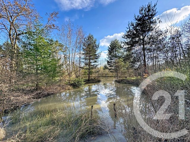 Maison &agrave; vendre - 5 pi&egrave;ces - 125,60 m2 - Isdes - 45 - CENTRE