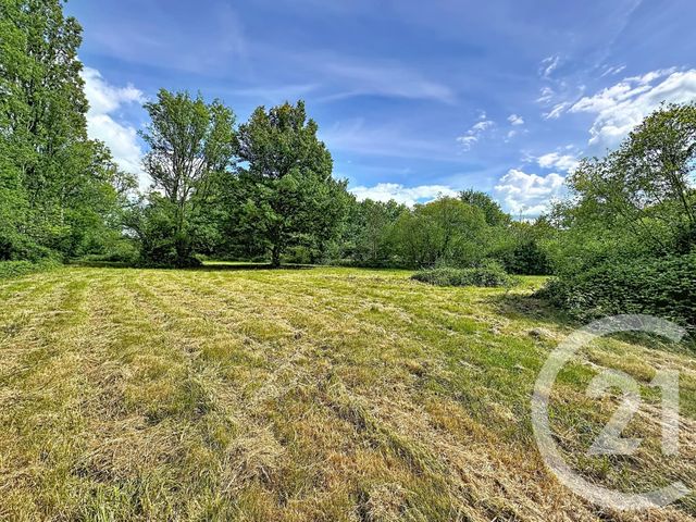 Terrain &agrave; vendre - 35560 m2 - Clemont - 18 - CENTRE