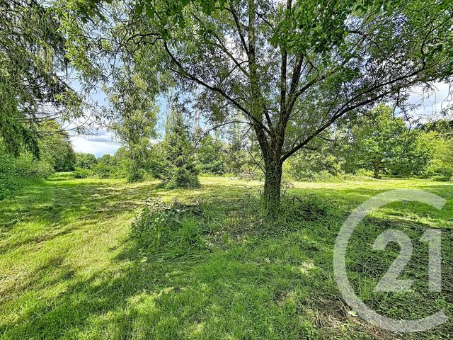 Terrain &agrave; vendre - 35560 m2 - Clemont - 18 - CENTRE