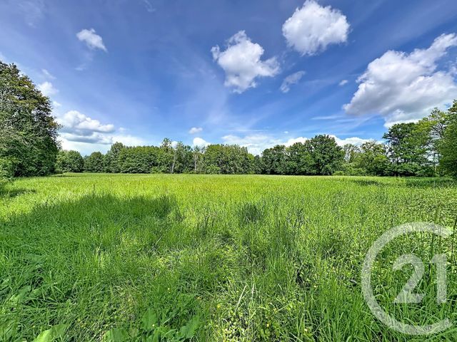 Terrain &agrave; vendre - 35560 m2 - Clemont - 18 - CENTRE
