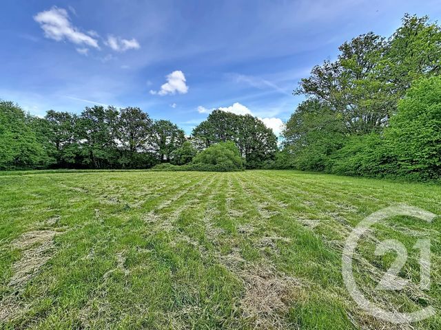 Terrain &agrave; vendre - 35560 m2 - Clemont - 18 - CENTRE