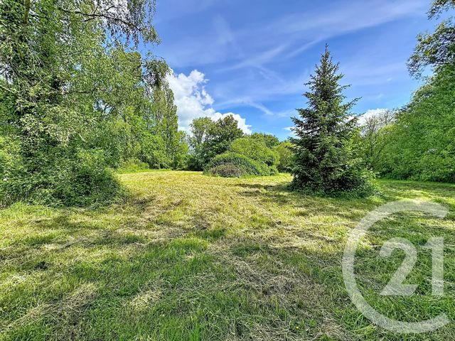 Terrain &agrave; vendre - 35560 m2 - Clemont - 18 - CENTRE