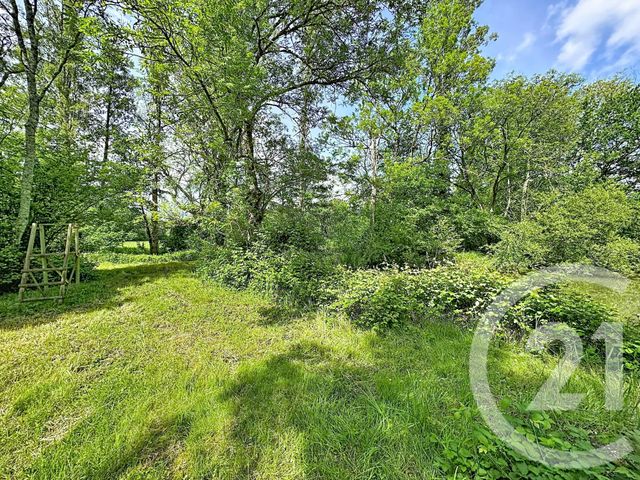 Terrain &agrave; vendre - 35560 m2 - Clemont - 18 - CENTRE