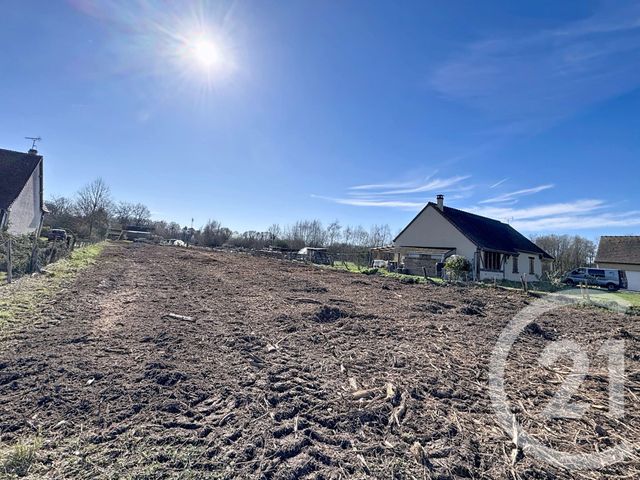 terrain - NOUAN LE FUZELIER - 41