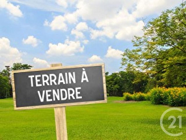 terrain - ST VIATRE - 41