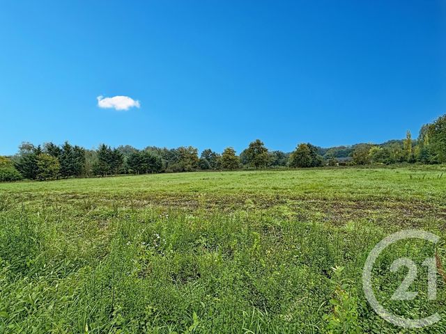 Terrain &agrave; vendre - 1668 m2 - St Viatre - 41 - CENTRE