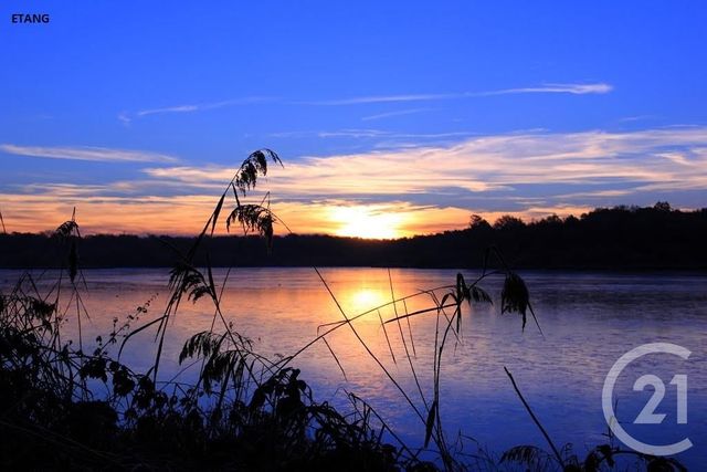 Terrain à vendre - 660 m2 - St Viatre - 41 - CENTRE