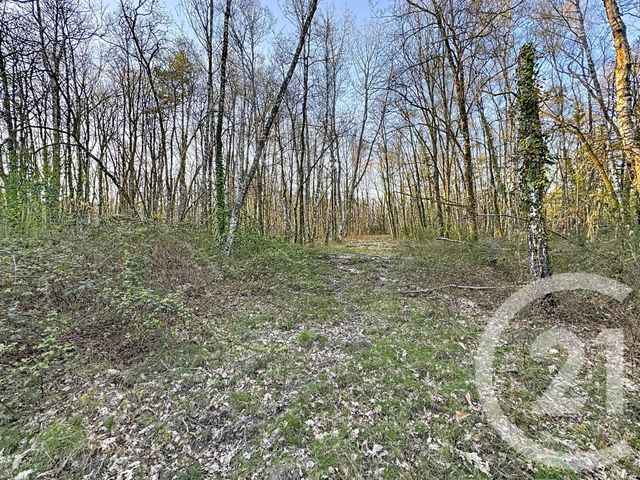 Maison &agrave; vendre - 7 pi&egrave;ces - 175 m2 - Yvoy Le Marron - 41 - CENTRE