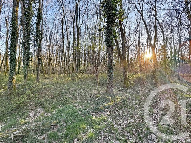 Maison &agrave; vendre - 7 pi&egrave;ces - 175 m2 - Yvoy Le Marron - 41 - CENTRE