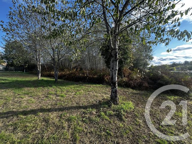 Terrain &agrave; vendre - 592 m2 - Nouan Le Fuzelier - 41 - CENTRE