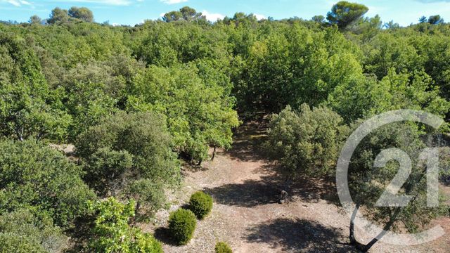 Terrain &agrave; vendre - 8325 m2 - St Julien - 83 - PROVENCE-ALPES-COTE-D-AZUR