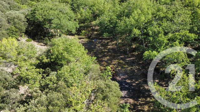 Terrain &agrave; vendre - 8325 m2 - St Julien - 83 - PROVENCE-ALPES-COTE-D-AZUR