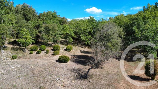Terrain &agrave; vendre - 8325 m2 - St Julien - 83 - PROVENCE-ALPES-COTE-D-AZUR