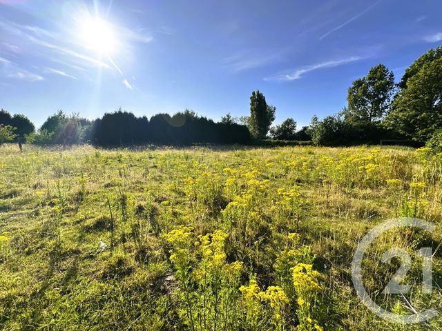 Maison à vendre - 18 pièces - 437 m2 - Zutkerque - 62 - NORD-PAS-DE-CALAIS