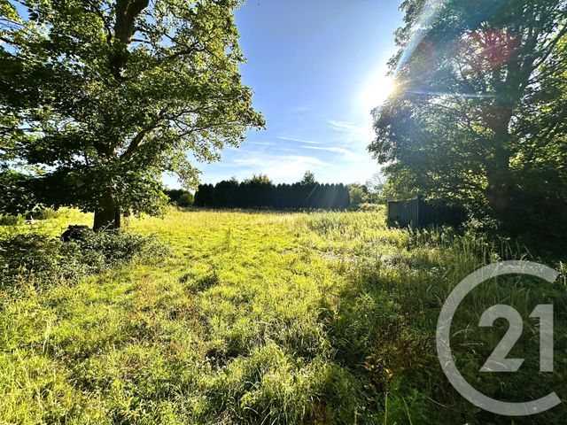 Maison à vendre - 18 pièces - 437 m2 - Zutkerque - 62 - NORD-PAS-DE-CALAIS