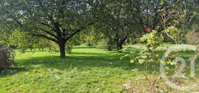 Maison à vendre - 8 pièces - 200 m2 - Saligney - 39 - FRANCHE-COMTE