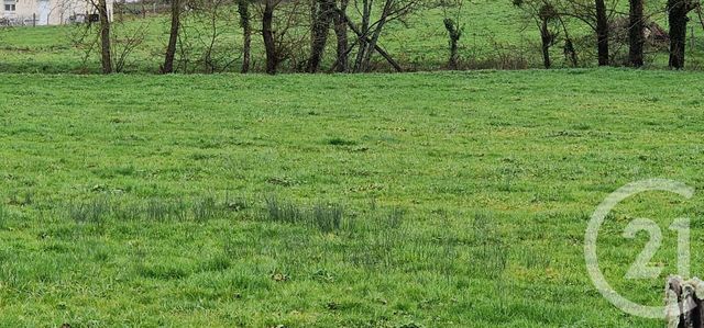 terrain - BILLEY - 21