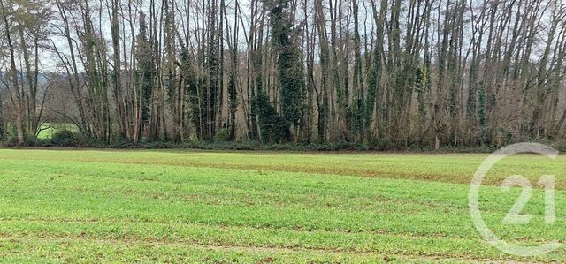 terrain - BILLEY - 21