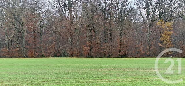 Terrain &agrave; vendre - 1441 m2 - Billey - 21 - BOURGOGNE