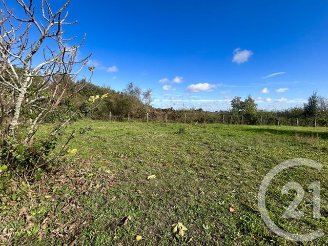 Terrain &agrave; vendre - 1009 m2 - Cugnaux - 31 - MIDI-PYRENEES