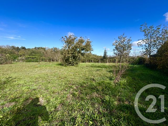 Terrain &agrave; vendre - 1009 m2 - Cugnaux - 31 - MIDI-PYRENEES