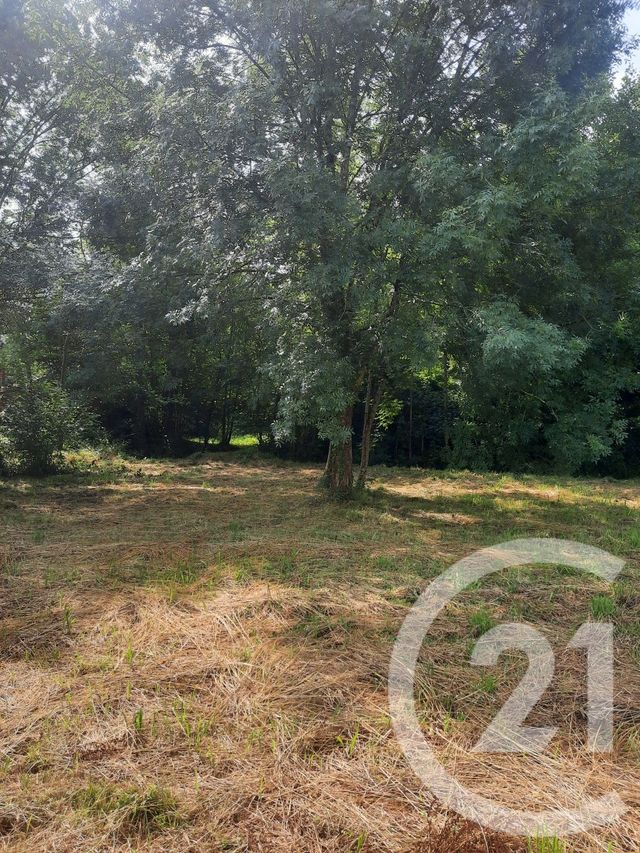 Terrain &agrave; vendre - 1000 m2 - Lahonce - 64 - AQUITAINE