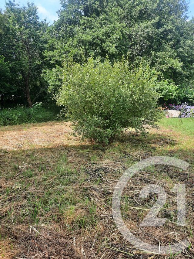 Terrain &agrave; vendre - 1000 m2 - Lahonce - 64 - AQUITAINE