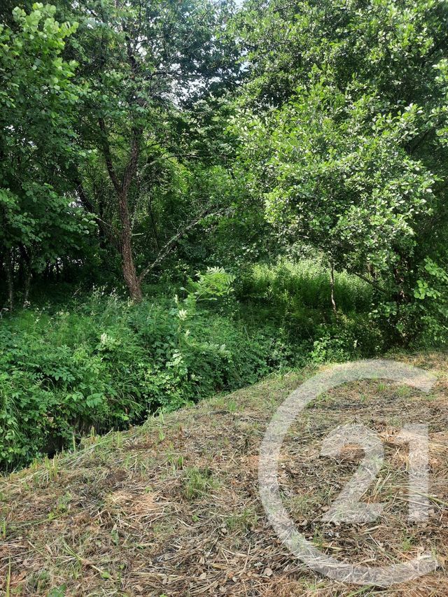 Terrain &agrave; vendre - 1000 m2 - Lahonce - 64 - AQUITAINE