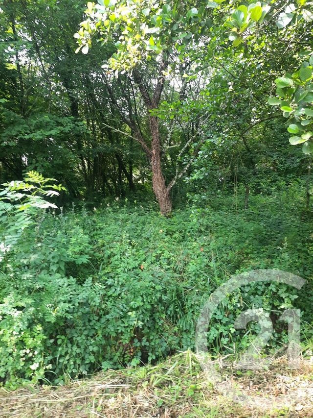 Terrain &agrave; vendre - 1000 m2 - Lahonce - 64 - AQUITAINE