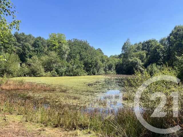 Maison &agrave; vendre - 5 pi&egrave;ces - 181 m2 - Parigne L Eveque - 72 - PAYS-DE-LOIRE