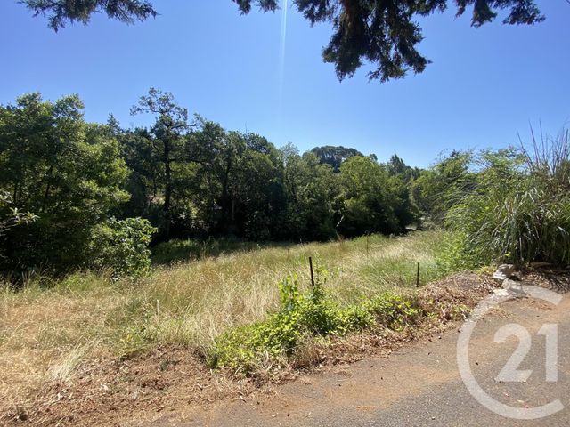 terrain - MOUGINS - 06