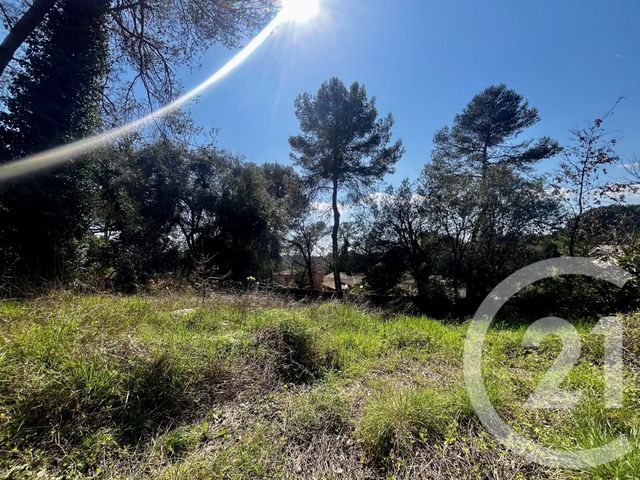 Terrain &agrave; vendre - 1584 m2 - Roquefort Les Pins - 06 - PROVENCE-ALPES-COTE-D-AZUR