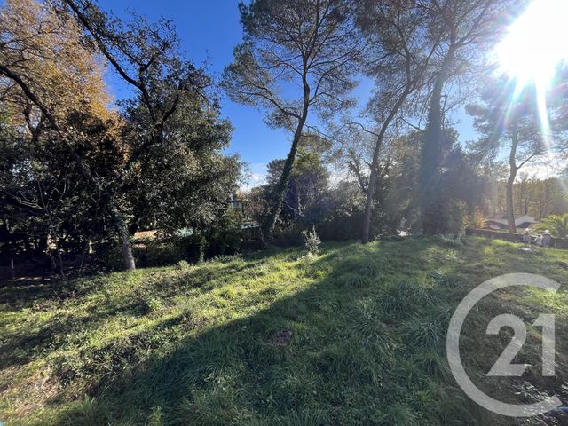 Terrain &agrave; vendre - 1584 m2 - Roquefort Les Pins - 06 - PROVENCE-ALPES-COTE-D-AZUR