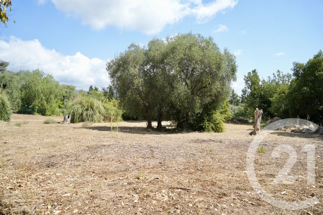 Terrain &agrave; vendre - 2749 m2 - Roquefort Les Pins - 06 - PROVENCE-ALPES-COTE-D-AZUR