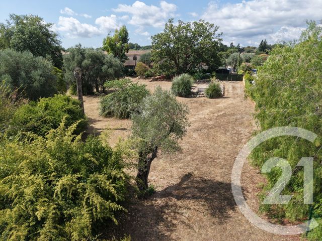 terrain - ROQUEFORT LES PINS - 06