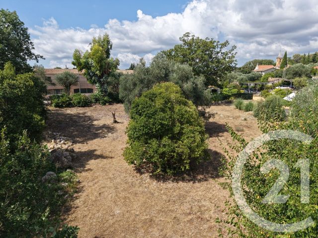 Terrain &agrave; vendre - 2749 m2 - Roquefort Les Pins - 06 - PROVENCE-ALPES-COTE-D-AZUR