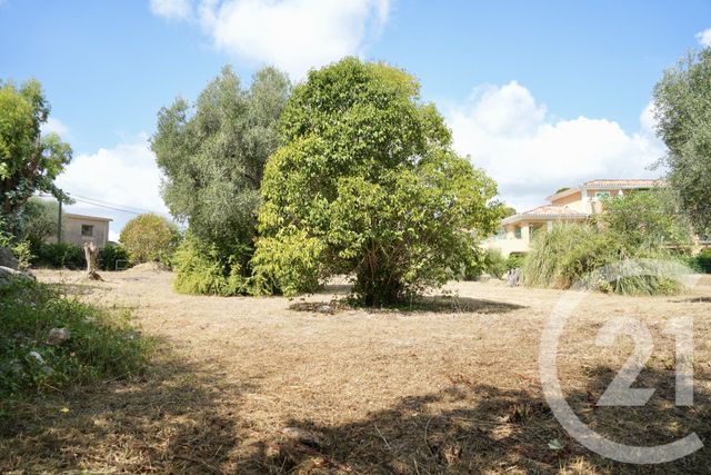 Terrain &agrave; vendre - 2749 m2 - Roquefort Les Pins - 06 - PROVENCE-ALPES-COTE-D-AZUR