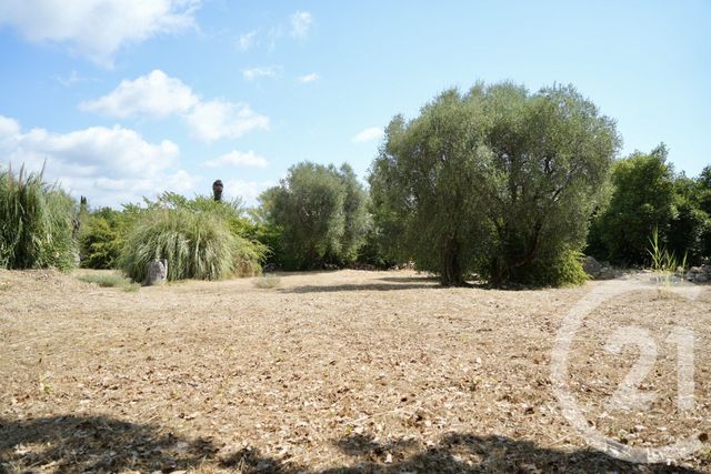 Terrain &agrave; vendre - 2749 m2 - Roquefort Les Pins - 06 - PROVENCE-ALPES-COTE-D-AZUR