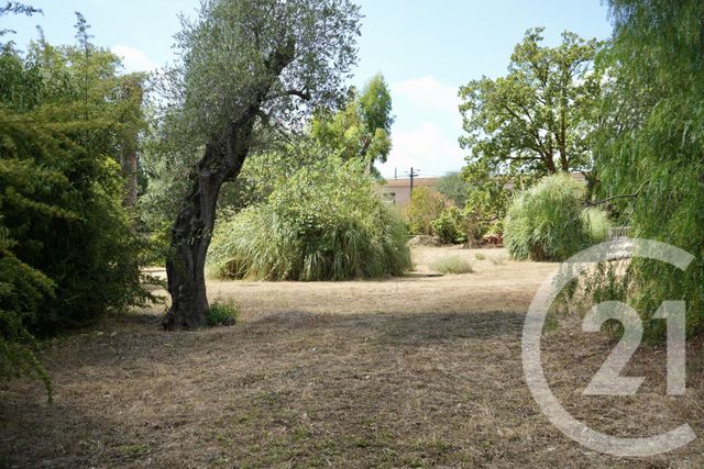 Terrain &agrave; vendre - 2749 m2 - Roquefort Les Pins - 06 - PROVENCE-ALPES-COTE-D-AZUR