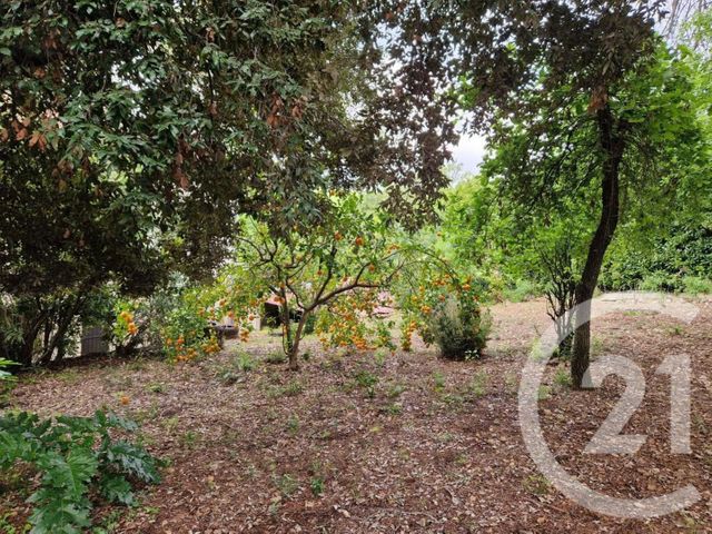 Maison &agrave; vendre - 6 pi&egrave;ces - 138,89 m2 - Roquefort Les Pins - 06 - PROVENCE-ALPES-COTE-D-AZUR