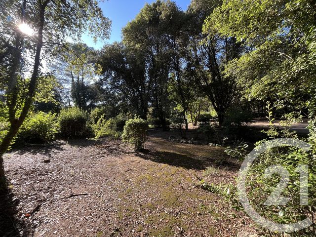 Terrain &agrave; vendre - 1500 m2 - Roquefort Les Pins - 06 - PROVENCE-ALPES-COTE-D-AZUR