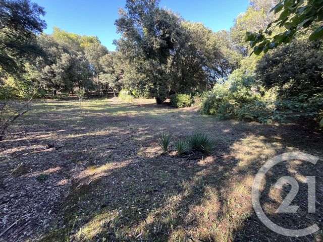 Terrain &agrave; vendre - 1500 m2 - Roquefort Les Pins - 06 - PROVENCE-ALPES-COTE-D-AZUR