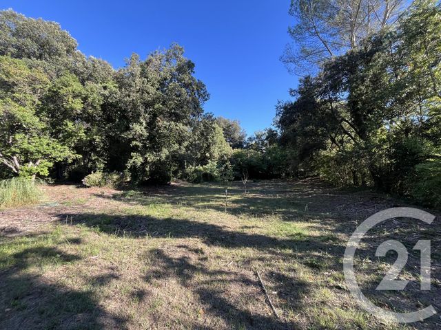 Terrain &agrave; vendre - 1500 m2 - Roquefort Les Pins - 06 - PROVENCE-ALPES-COTE-D-AZUR