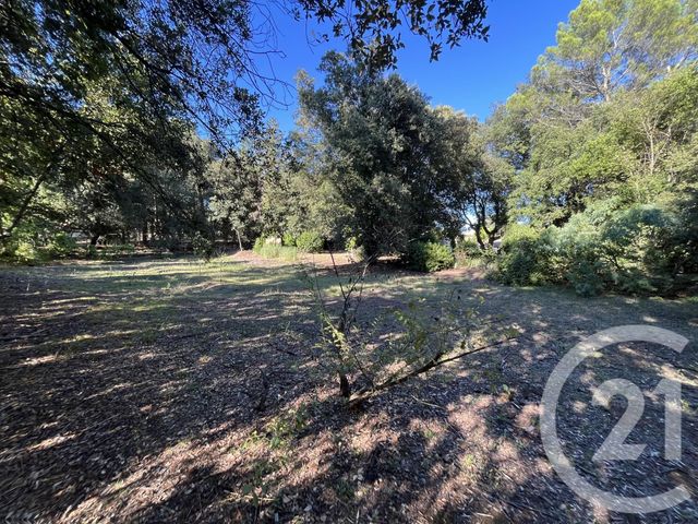 Terrain &agrave; vendre - 1500 m2 - Roquefort Les Pins - 06 - PROVENCE-ALPES-COTE-D-AZUR