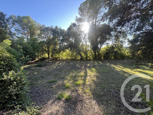 Terrain &agrave; vendre - 1500 m2 - Roquefort Les Pins - 06 - PROVENCE-ALPES-COTE-D-AZUR
