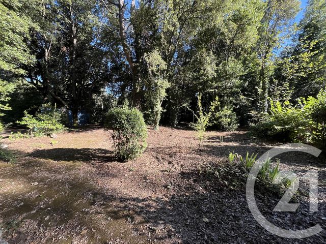 Terrain &agrave; vendre - 1500 m2 - Roquefort Les Pins - 06 - PROVENCE-ALPES-COTE-D-AZUR