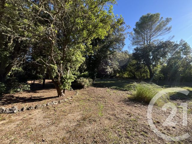 Terrain &agrave; vendre - 1500 m2 - Roquefort Les Pins - 06 - PROVENCE-ALPES-COTE-D-AZUR